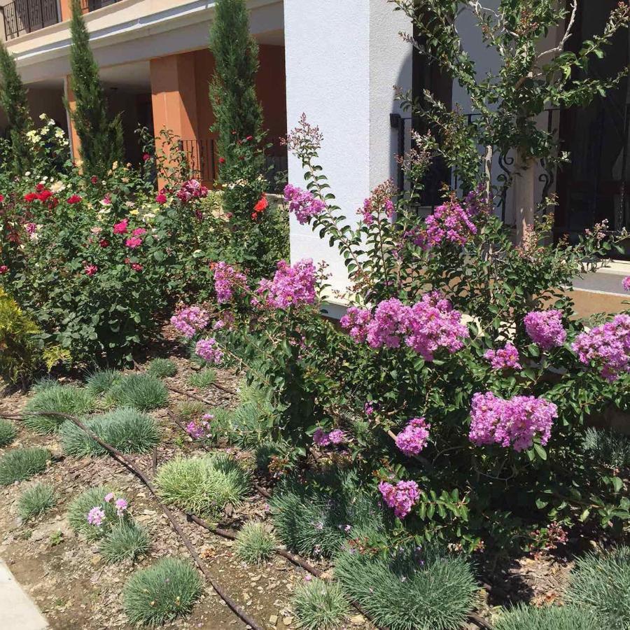 Prestige Fort Beach Private Apartment-Studio 46 Sveti Vlas Exterior photo